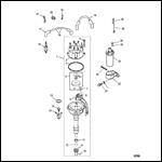 Distributor And Ignition Components