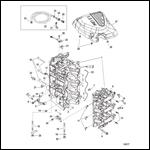 Cylinder Block and Crankcase