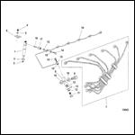 Fuel Lines And Nozzle