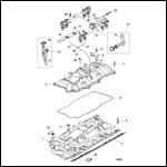 Intake Manifold and Fuel Rail