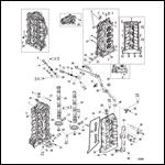 Cylinder Head and Camshaft