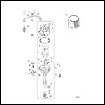 Distributor And Ignition Components