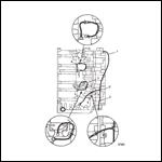 BLEED SYSTEM (USA-0G127500/BEL-9836633 and UP)