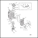 CYLINDER BLOCK AND CRANKCASE ASSEMBLY