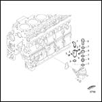 Fuel System-Mechanical Pump Fittings