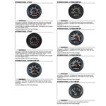 Analog Instruments P462