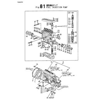 FIG 81. FUEL INJECTION PUMP