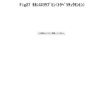 FIG 27. ENGINE BED (OPTIONAL)