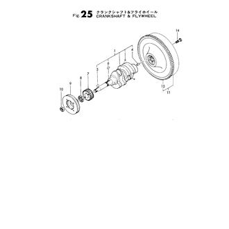 FIG 25. CRANKSHAFT & FLYWHEEL