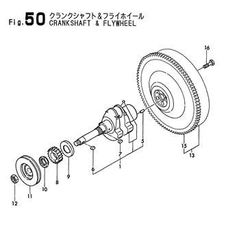 FIG 50. CRANKSHAFT & FLYWHEEL